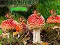 游戏Mushroom Forest Adventure