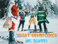 游戏Ski Resort Hidden Snowflakes