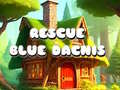 游戏Rescue Blue Dacnis