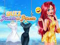 游戏Flash Quiz Princess Vs Princess