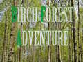 游戏Birch Forest Adventure