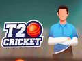 游戏T20 Cricket