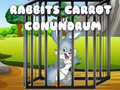游戏Rabbits Carrot Conundrum