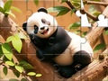游戏Jigsaw Puzzle: Panda On Tree