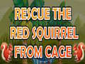 游戏Rescue The Red Squirrel From Cage
