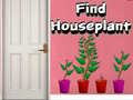 游戏Find Houseplant