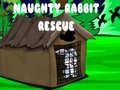 游戏Naughty Rabbit Rescue