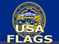 游戏Usa Flags 