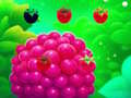 游戏Sweet Raspberry