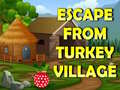 游戏Escape From Turkey Village