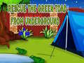 游戏Rescue The Green Toad From Underground