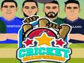 游戏Cricket Championship