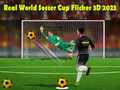 游戏Real World Soccer Cup Flicker 3D 2023