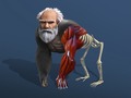 游戏Idle Evolution From Cell To Human