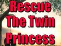 游戏Rescue The Twin Princess