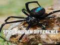 游戏Spider Hidden Difference