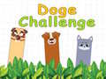 游戏Doge Challenge
