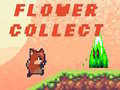 游戏Flower Collect