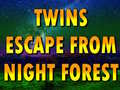 游戏Twins Escape From Night Forest