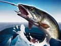游戏Ice Fishing 3D