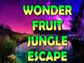 游戏Wonder Fruit Jungle Escape