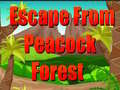 游戏Escape From Peacock Forest