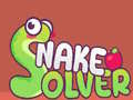 游戏Snake Solver 