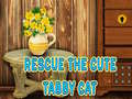 游戏Rescue The Cute Tabby Cat