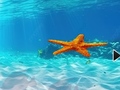 游戏Escape From Underwater Starfish
