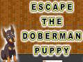 游戏Escape The Doberman Puppy