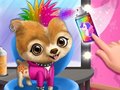 游戏 Rock Star Animal Hair Salon
