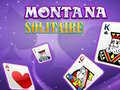 游戏Montana Solitaire