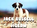 游戏Jack Russell Jigsaw