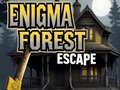 游戏Enigma Forest Escape