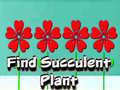 游戏Find Succulent Plant