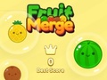 游戏Fruit Merge