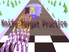 游戏Knife Target Practice