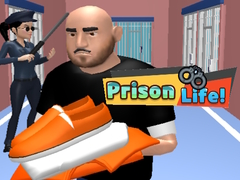 游戏Prison Life!