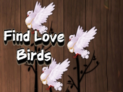 游戏Find Love Birds