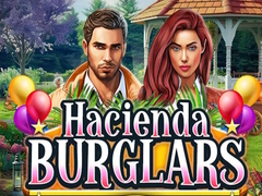 游戏Hacienda Burglars