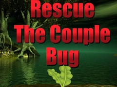 游戏Rescue The Couple Bug