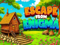 游戏Escape From Enigma