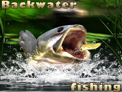 游戏Backwater Fishing