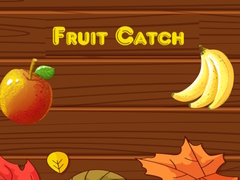 游戏Fruit catch