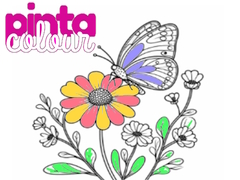 游戏Pinta Colour