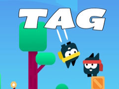 游戏Tag