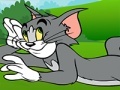 游戏Tom and Jerry ATV Adventure