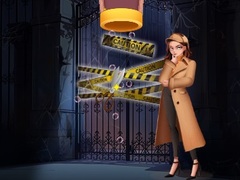 游戏Pin Detective