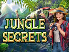 游戏Jungle Secrets