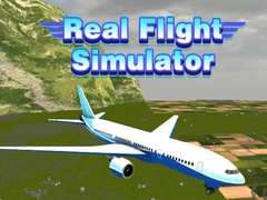 游戏Real Flight Simulator 
